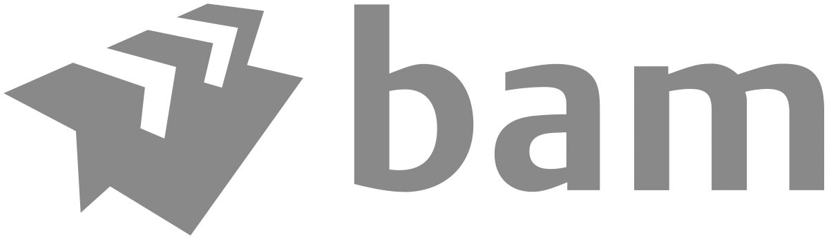 BAM logo image